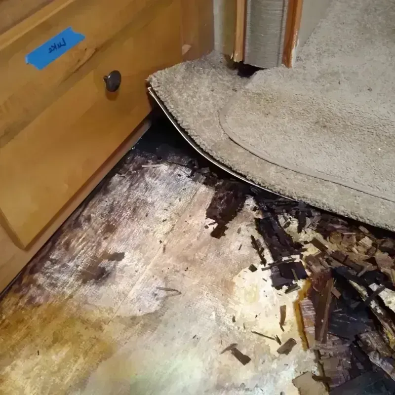 Wood Floor Water Damage in Fort Washington, MD